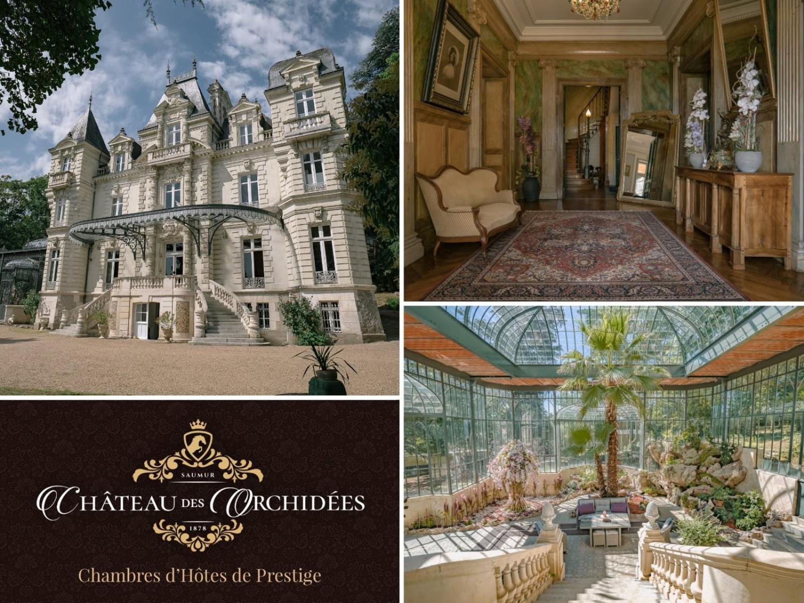 Chateau Des Orchidees En Val De Loire Saumur Ngoại thất bức ảnh
