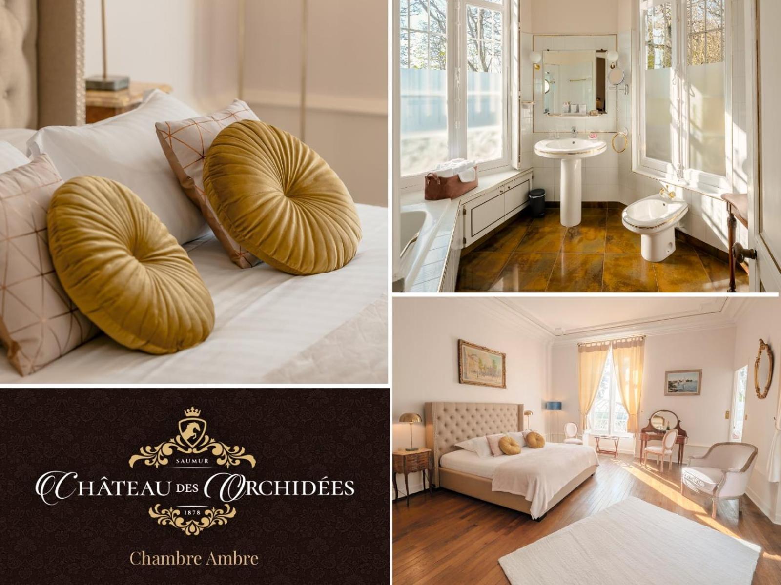 Chateau Des Orchidees En Val De Loire Saumur Ngoại thất bức ảnh